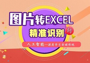 图片转excel效果