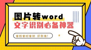 图片转word效果截图