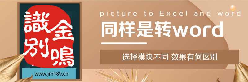 金鸣表格文字识别系统图片