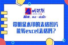 带明显水印的表格图片能转excel表格吗？