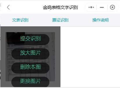 金鸣表格文字识别系统图片