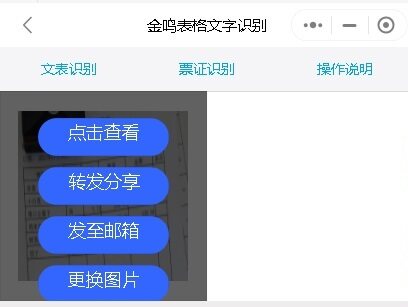 金鸣表格文字识别系统图片