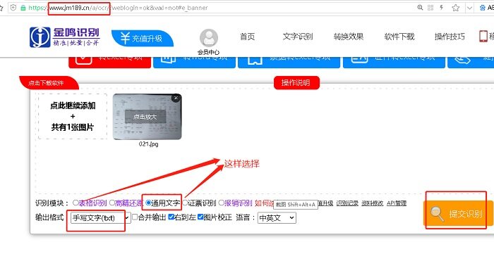 金鸣表格文字识别系统图片