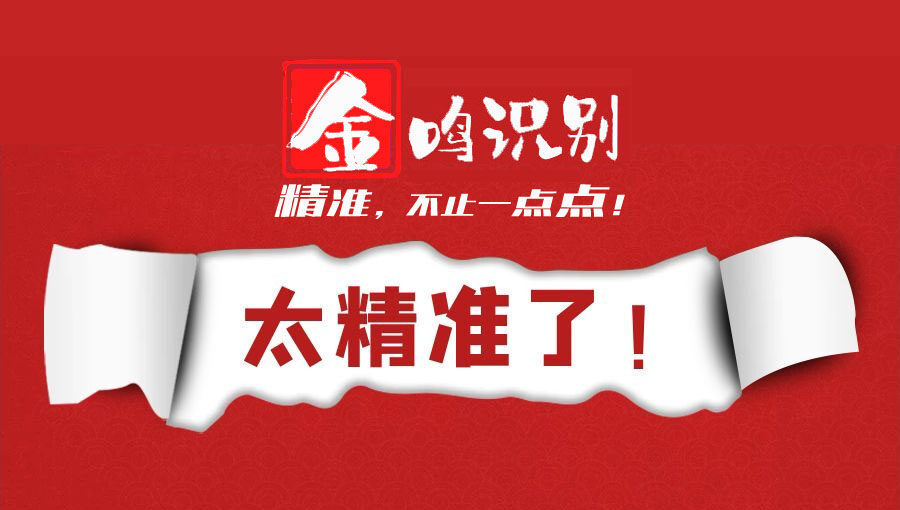 金鸣表格文字识别系统图片